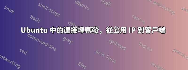 Ubuntu 中的連接埠轉發，從公用 IP 到客戶端