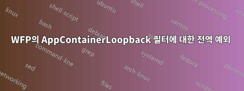 WFP의 AppContainerLoopback 필터에 대한 전역 예외