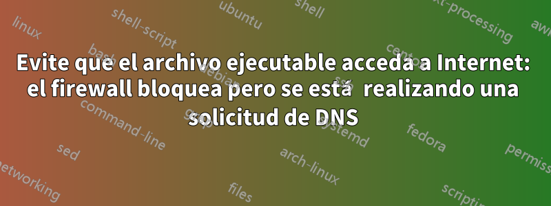 Evite que el archivo ejecutable acceda a Internet: el firewall bloquea pero se está realizando una solicitud de DNS