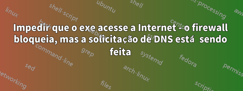 Impedir que o exe acesse a Internet - o firewall bloqueia, mas a solicitação de DNS está sendo feita