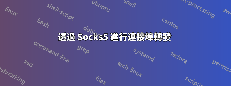 透過 Socks5 進行連接埠轉發