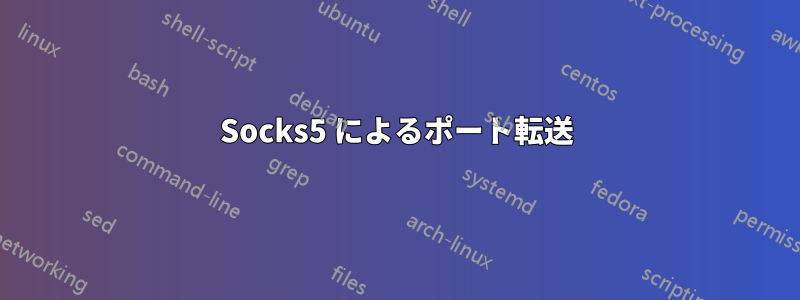 Socks5 によるポート転送