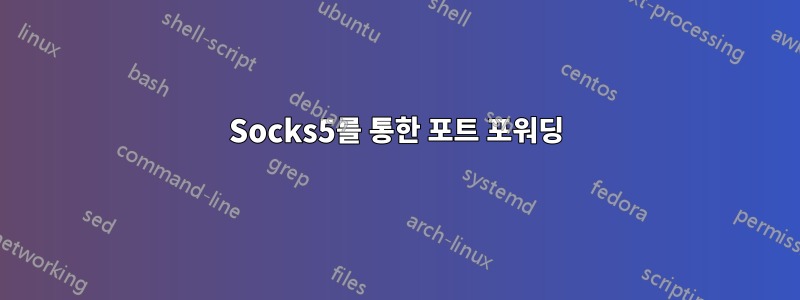 Socks5를 통한 포트 포워딩