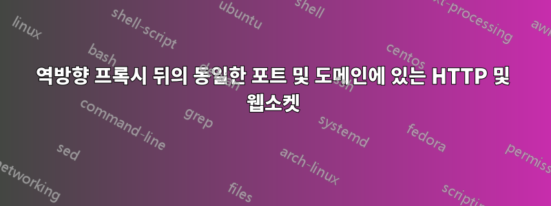 역방향 프록시 뒤의 동일한 포트 및 도메인에 있는 HTTP 및 웹소켓