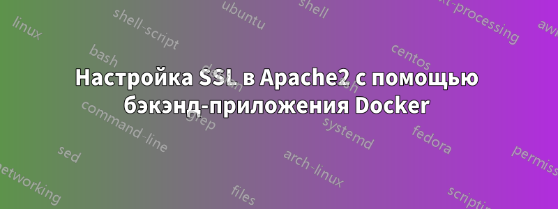 Настройка SSL в Apache2 с помощью бэкэнд-приложения Docker