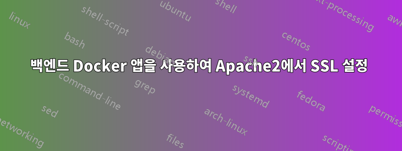 백엔드 Docker 앱을 사용하여 Apache2에서 SSL 설정