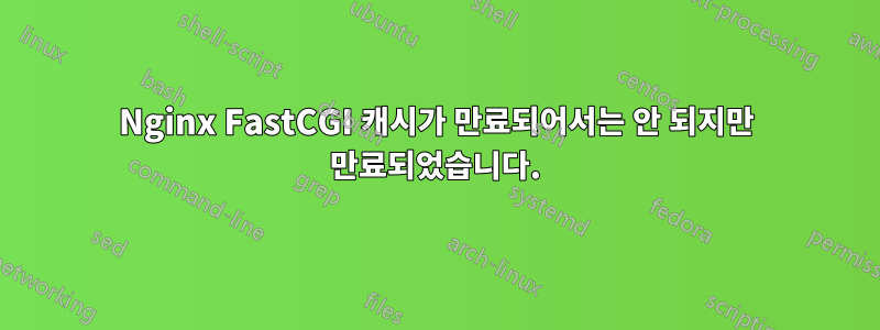 Nginx FastCGI 캐시가 만료되어서는 안 되지만 만료되었습니다.