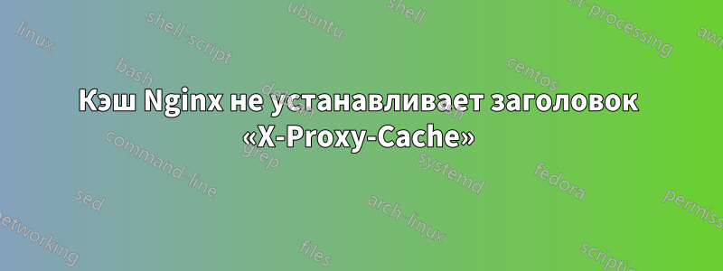 Кэш Nginx не устанавливает заголовок «X-Proxy-Cache»