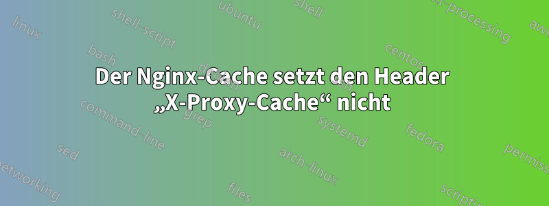 Der Nginx-Cache setzt den Header „X-Proxy-Cache“ nicht