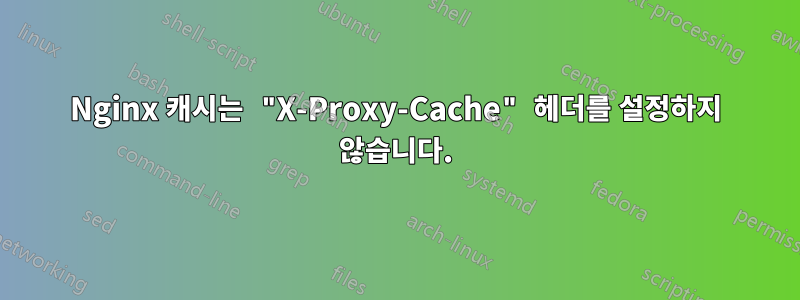 Nginx 캐시는 "X-Proxy-Cache" 헤더를 설정하지 않습니다.