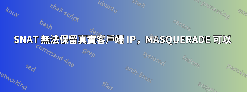 SNAT 無法保留真實客戶端 IP，MASQUERADE 可以