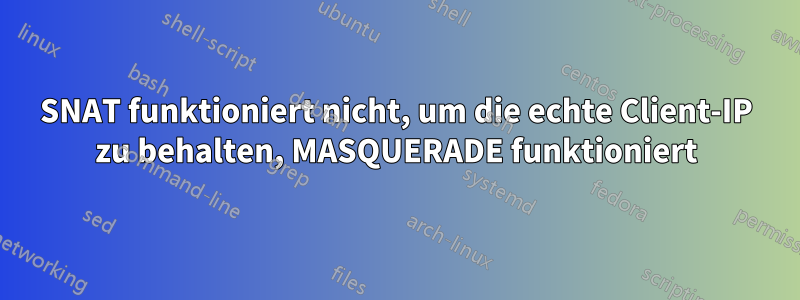 SNAT funktioniert nicht, um die echte Client-IP zu behalten, MASQUERADE funktioniert