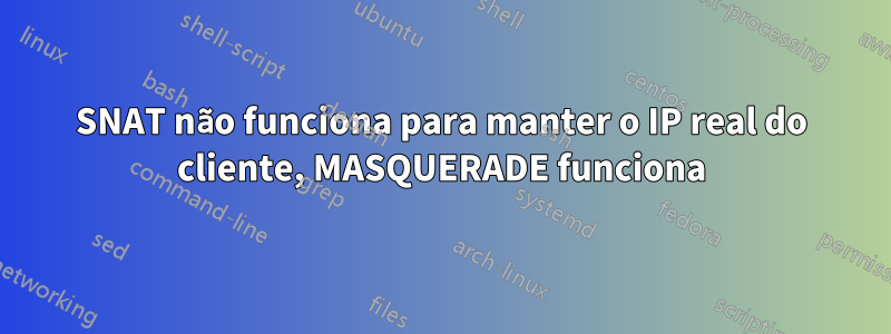 SNAT não funciona para manter o IP real do cliente, MASQUERADE funciona