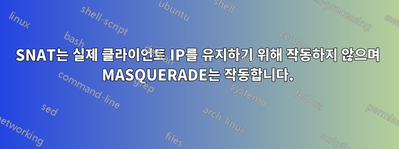 SNAT는 실제 클라이언트 IP를 유지하기 위해 작동하지 않으며 MASQUERADE는 작동합니다.