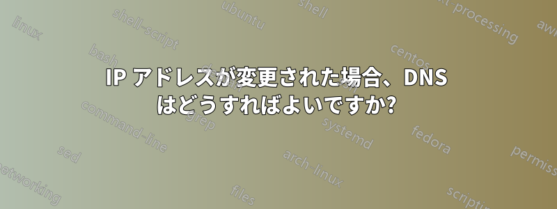 IP アドレスが変更された場合、DNS はどうすればよいですか?