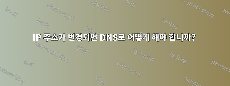 IP 주소가 변경되면 DNS로 어떻게 해야 합니까?