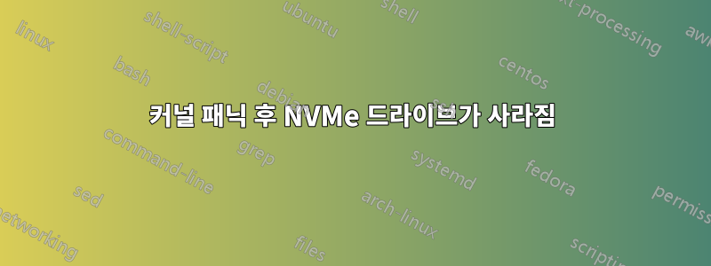 커널 패닉 후 NVMe 드라이브가 사라짐