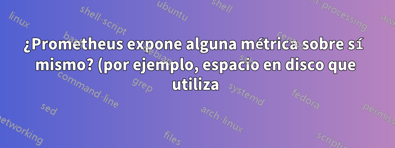 ¿Prometheus expone alguna métrica sobre sí mismo? (por ejemplo, espacio en disco que utiliza)