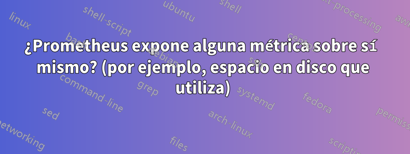 ¿Prometheus expone alguna métrica sobre sí mismo? (por ejemplo, espacio en disco que utiliza)