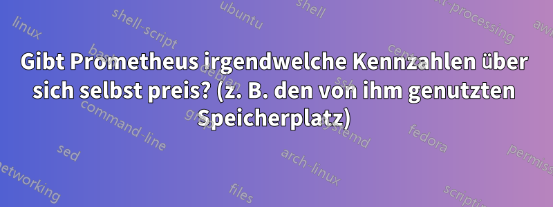 Gibt Prometheus irgendwelche Kennzahlen über sich selbst preis? (z. B. den von ihm genutzten Speicherplatz)