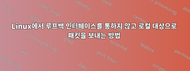 Linux에서 루프백 인터페이스를 통하지 않고 로컬 대상으로 패킷을 보내는 방법