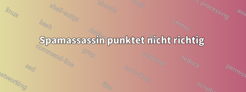 Spamassassin punktet nicht richtig