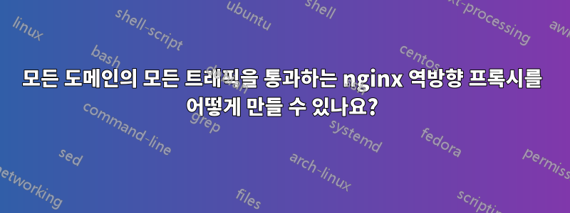 모든 도메인의 모든 트래픽을 통과하는 nginx 역방향 프록시를 어떻게 만들 수 있나요?