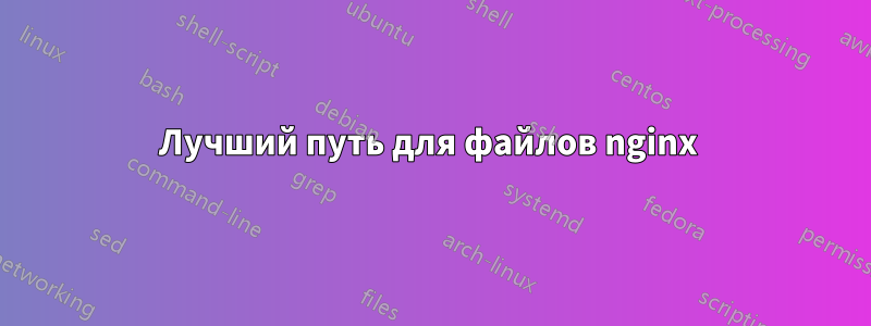 Лучший путь для файлов nginx 