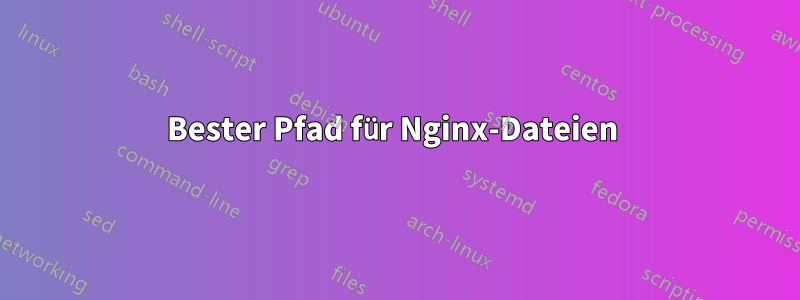 Bester Pfad für Nginx-Dateien 