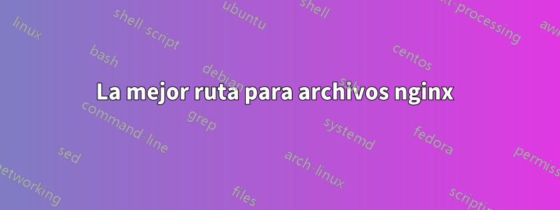 La mejor ruta para archivos nginx 