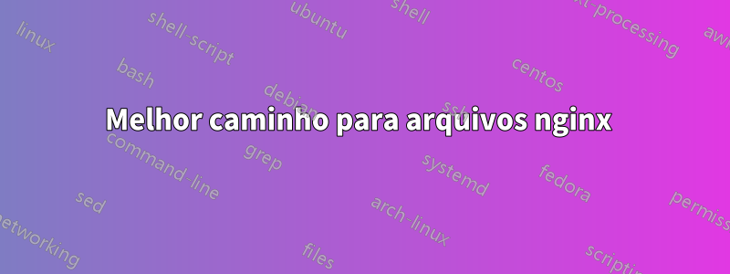 Melhor caminho para arquivos nginx 