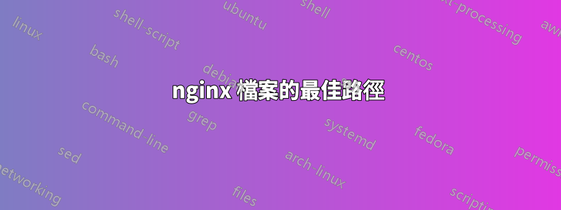 nginx 檔案的最佳路徑