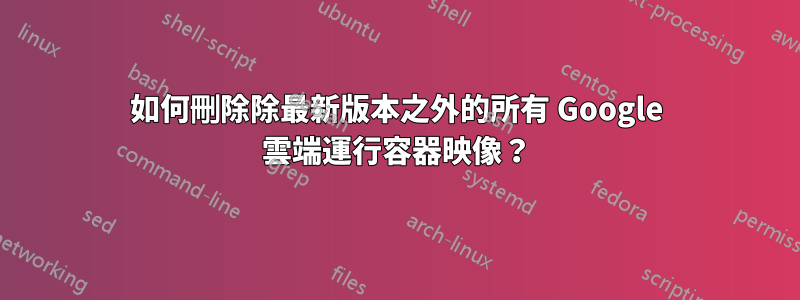 如何刪除除最新版本之外的所有 Google 雲端運行容器映像？