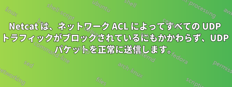 Netcat は、ネットワーク ACL によってすべての UDP トラフィックがブロックされているにもかかわらず、UDP パケットを正常に送信します。