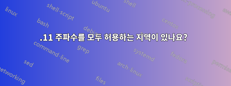 802.11 주파수를 모두 허용하는 지역이 있나요? 