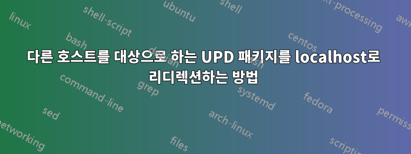 다른 호스트를 대상으로 하는 UPD 패키지를 localhost로 리디렉션하는 방법