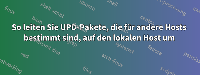 So leiten Sie UPD-Pakete, die für andere Hosts bestimmt sind, auf den lokalen Host um