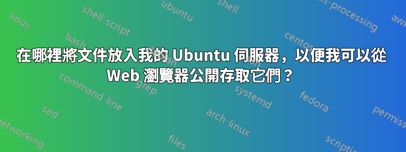 在哪裡將文件放入我的 Ubuntu 伺服器，以便我可以從 Web 瀏覽器公開存取它們？