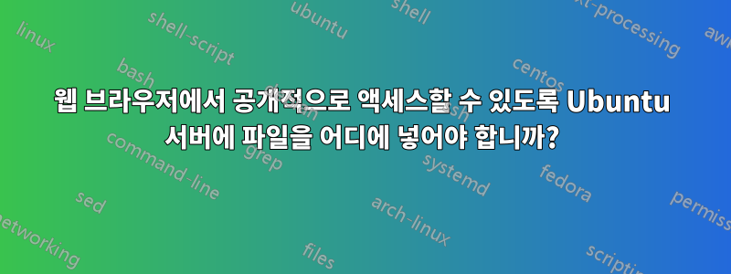 웹 브라우저에서 공개적으로 액세스할 수 있도록 Ubuntu 서버에 파일을 어디에 넣어야 합니까?