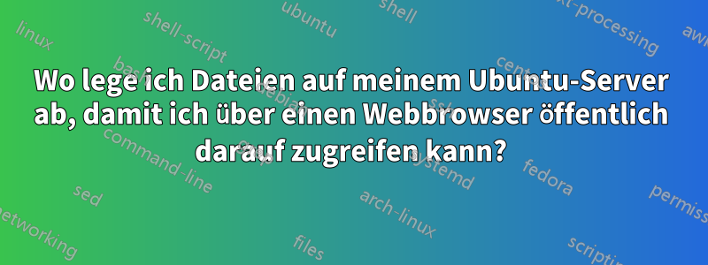 Wo lege ich Dateien auf meinem Ubuntu-Server ab, damit ich über einen Webbrowser öffentlich darauf zugreifen kann?