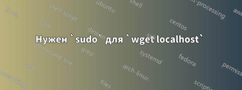 Нужен `sudo` для `wget localhost`