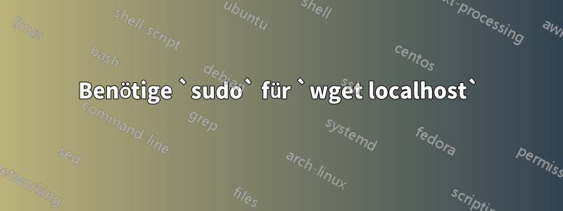 Benötige `sudo` für `wget localhost`