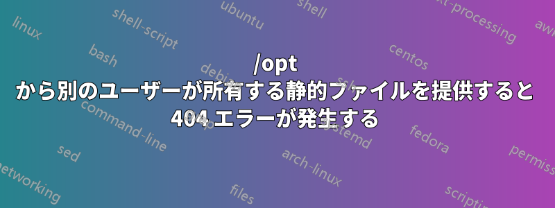 /opt から別のユーザーが所有する静的ファイルを提供すると 404 エラーが発生する