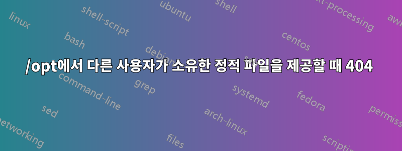 /opt에서 다른 사용자가 소유한 정적 파일을 제공할 때 404