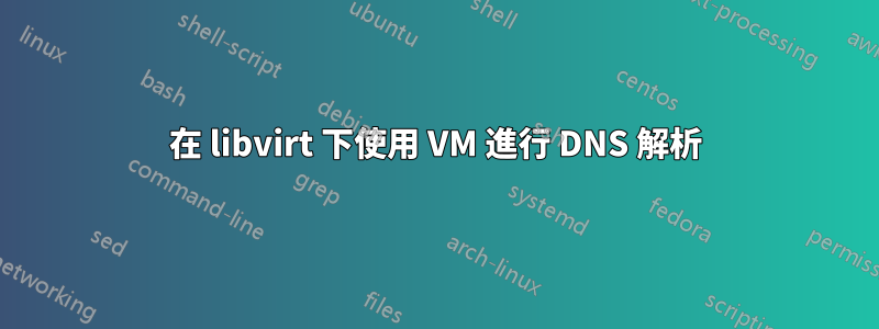 在 libvirt 下使用 VM 進行 DNS 解析