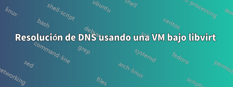 Resolución de DNS usando una VM bajo libvirt