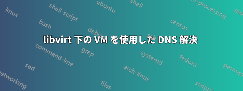 libvirt 下の VM を使用した DNS 解決