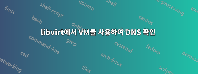 libvirt에서 VM을 사용하여 DNS 확인