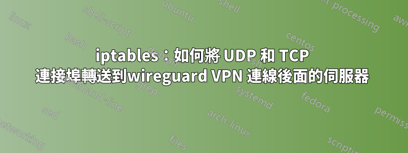 iptables：如何將 UDP 和 TCP 連接埠轉送到wireguard VPN 連線後面的伺服器