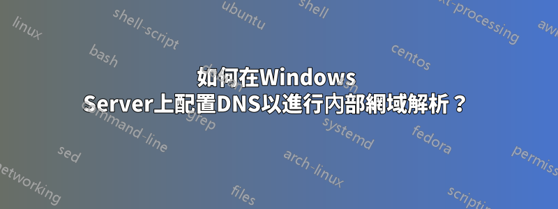 如何在Windows Server上配置DNS以進行內部網域解析？